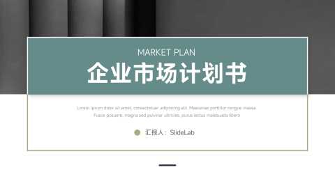 极简大气企业市场计划书PPT
