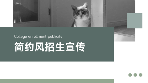 极简风图文简约风招生宣传PPT