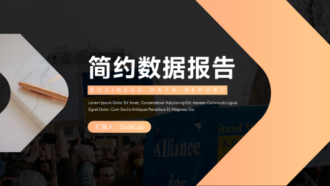 欧美风简约数据报告PPT