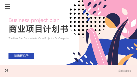 时尚品牌商业项目计划书PPT