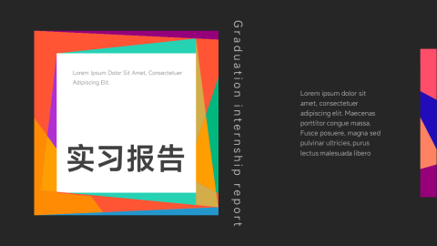 彩色艺术大气实习报告PPT