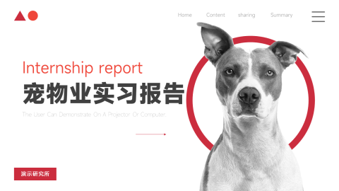 极简高级宠物业实习报告PPT