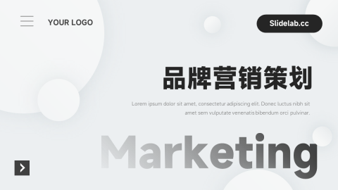 简洁微粒体品牌营销策划PPT