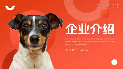 红色宠物行业企业介绍PPT