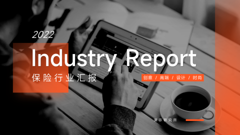 简洁实用保险行业汇报PPT模板