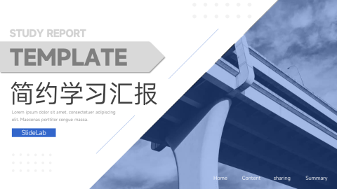 蓝色实用几何简约学习汇报PPT
