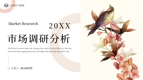 文艺鸟类市场调研分析PPT