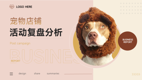 宠物电商活动复盘分析PPT