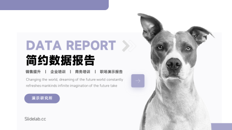 简洁宠物业简约数据报告PPT