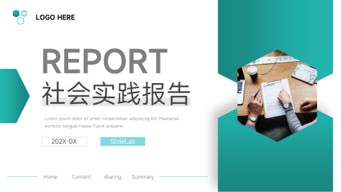 商务几何社会实践报告PPT