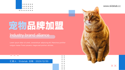 个性宠物品牌加盟PPT模板