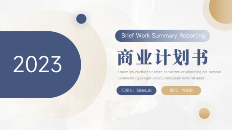 蓝金高端商业计划书PPT