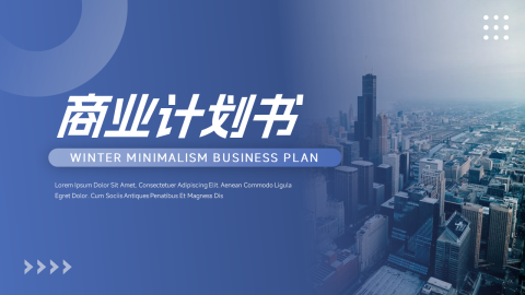 蓝色欧美商业计划书PPT