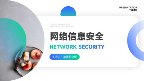 简洁欧美风网络信息安全PPT模板