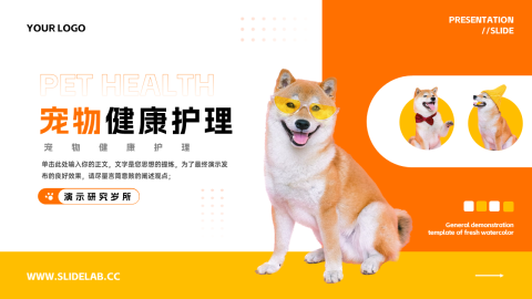 橙黄简洁宠物健康护理PPT