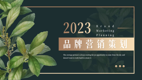高端文艺植物品牌营销策划PPT模板