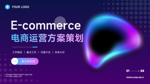 霓虹经典电商运营方案策划PPT模板