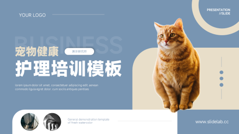 欧美风物健康护理培训模板PPT模板