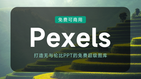 做PPT找图片困难？Pexels：打造无与伦比PPT的超级图库