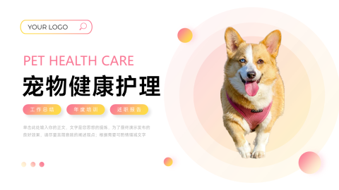 简洁宠物形象健康护理PPT模板
