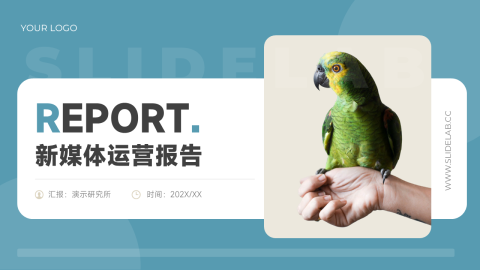 绿色简洁创意新媒体运营报告PPT模板