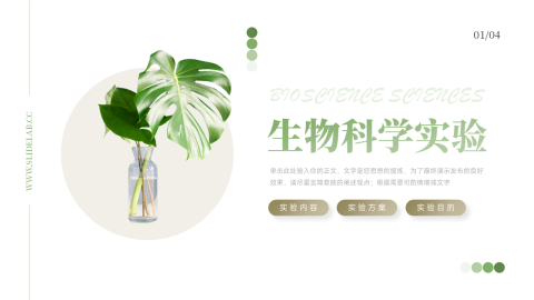 植系简约高端生物科学实验PPT模板