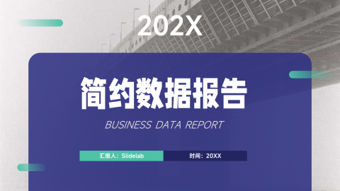 双色个性数据报告PPT模板