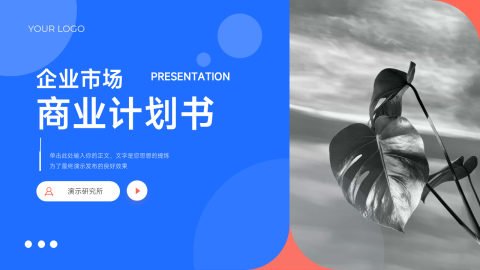 红蓝图文大气商业计划书PPT模板