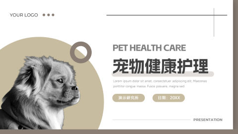 黄色系干净宠物健康护理介绍PPT