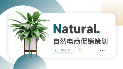 简约植系自然电商促销策划PPT
