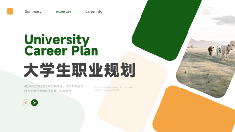 黄绿双色简洁大学生职业规划PPT模板