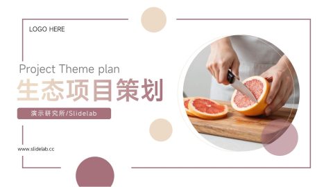 米粉简约生态项目策划PPT模板