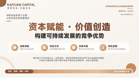 棕金高端稳健金融资本商业计划PPT模板