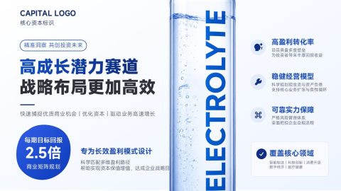蓝白科技清爽资本战略增长规划PPT模板